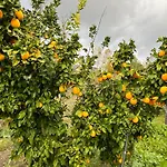 Sofros To Apomero Holiday home